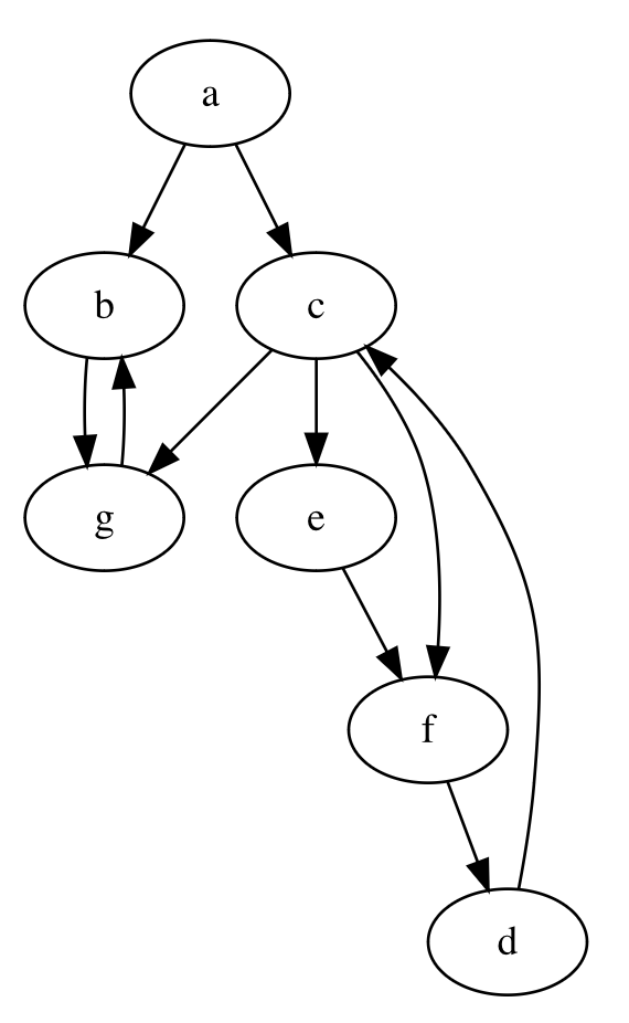 Directed graph with loops